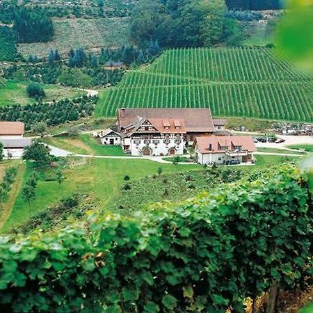 Weingut Alfred Huber Apartamento Durbach Exterior foto