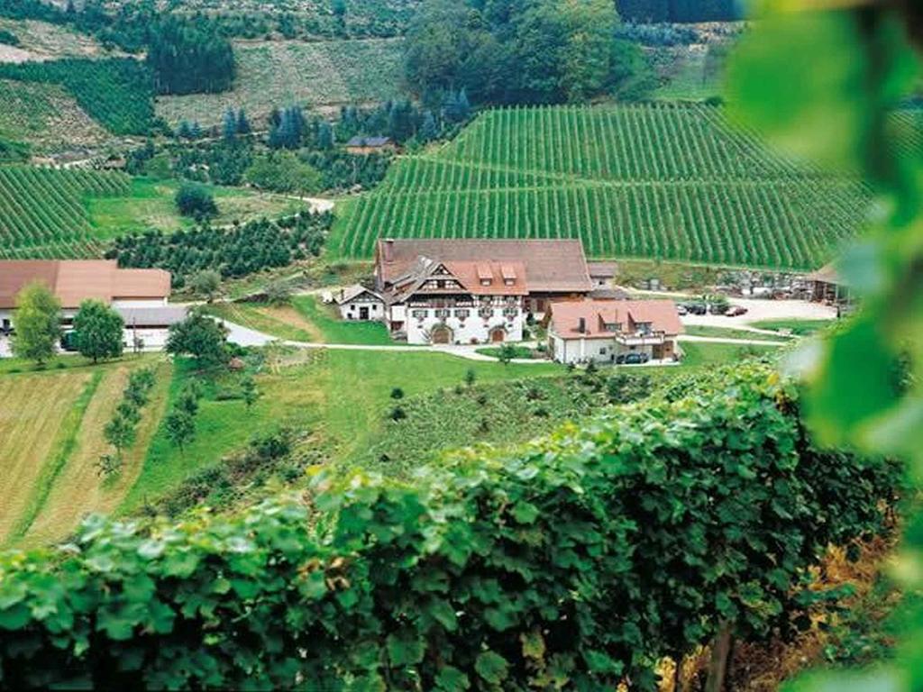 Weingut Alfred Huber Apartamento Durbach Exterior foto