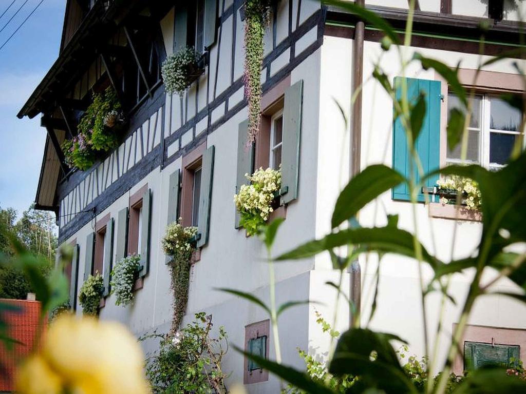 Weingut Alfred Huber Apartamento Durbach Exterior foto
