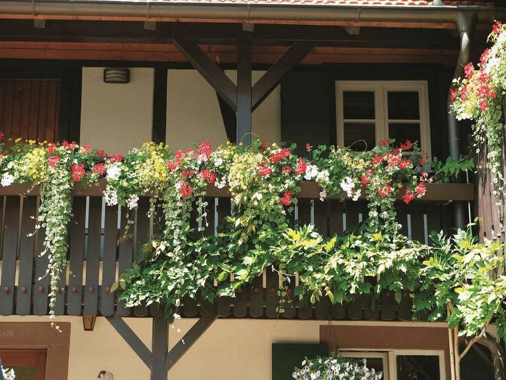 Weingut Alfred Huber Apartamento Durbach Exterior foto