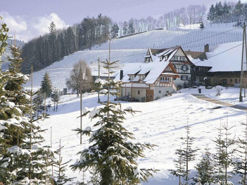 Weingut Alfred Huber Apartamento Durbach Exterior foto